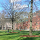 Illustration for article titled Yale Clarifies That Nonconsensual Sex Does Mean Sexual Assault